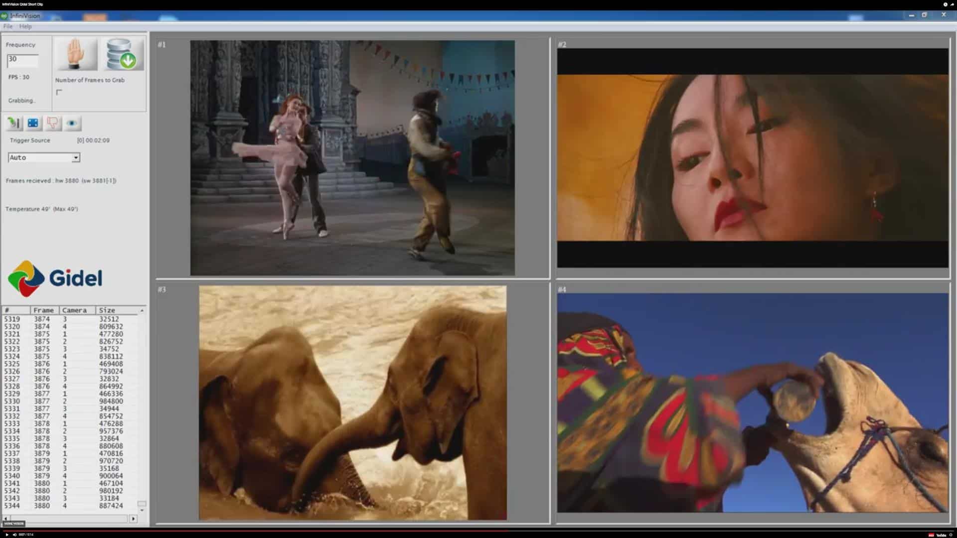 Gidel's InfiniVision Multi-Camera Vision System