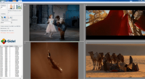 Gidel InfiniVision - Dynamic Multi-Camera Vision System (Thumbnail)